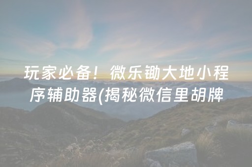 玩家必备！微乐锄大地小程序辅助器(揭秘微信里胡牌技巧)