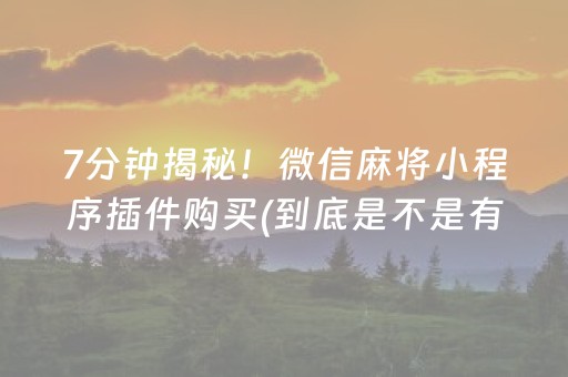 7分钟揭秘！微信麻将小程序插件购买(到底是不是有挂)