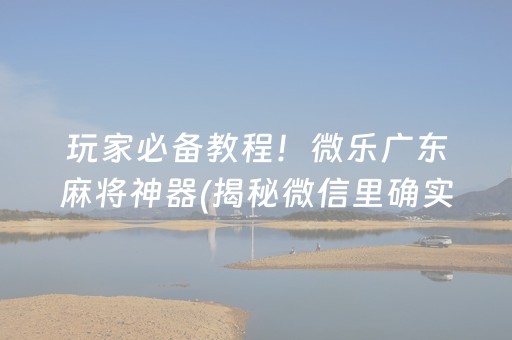 玩家必备教程！微乐广东麻将神器(揭秘微信里确实有猫腻)