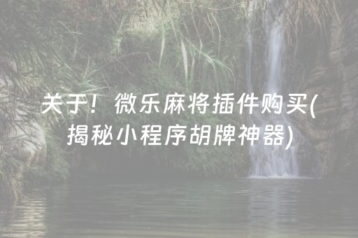 关于！微乐麻将插件购买(揭秘小程序胡牌神器)