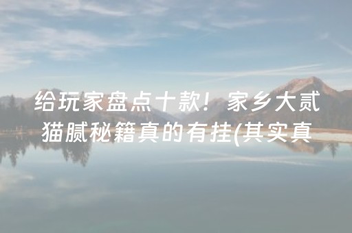 给玩家盘点十款！家乡大贰猫腻秘籍真的有挂(其实真的确实有挂)