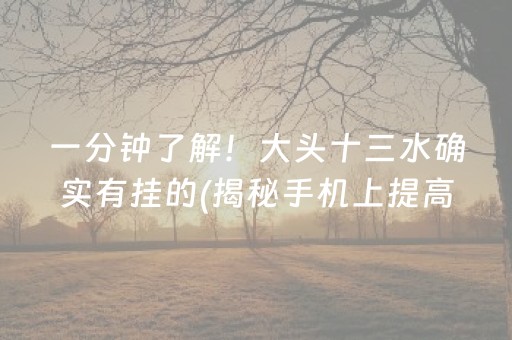 一分钟了解！大头十三水确实有挂的(揭秘手机上提高胜率)