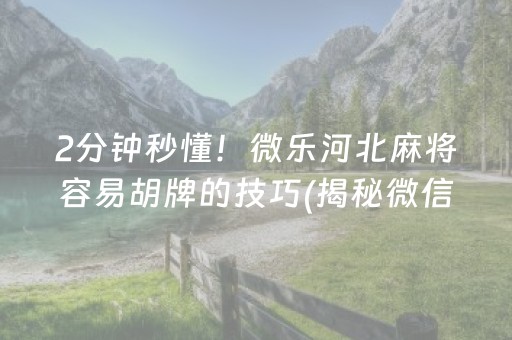 2分钟秒懂！微乐河北麻将容易胡牌的技巧(揭秘微信里确实有猫腻)