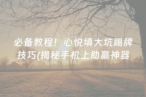 必备教程！心悦填大坑踢牌技巧(揭秘手机上助赢神器)