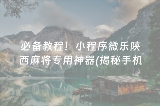 必备教程！小程序微乐陕西麻将专用神器(揭秘手机上专用神器下载)