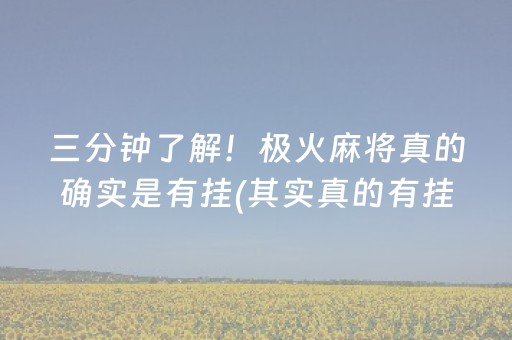 三分钟了解！极火麻将真的确实是有挂(其实真的有挂)