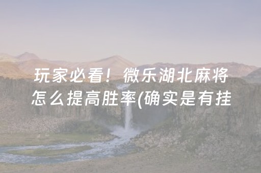 玩家必看！微乐湖北麻将怎么提高胜率(确实是有挂的)