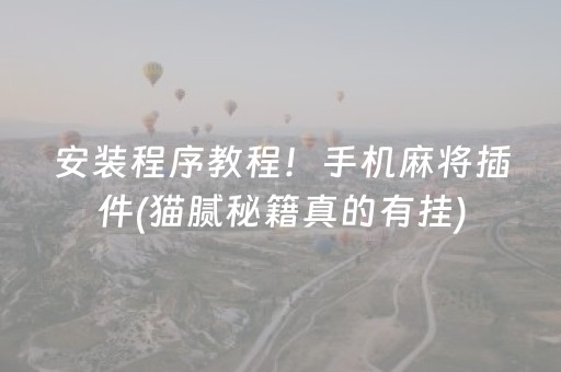 安装程序教程！手机麻将插件(猫腻秘籍真的有挂)