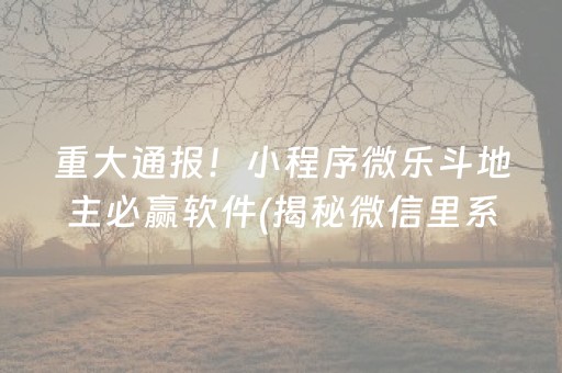 重大通报！小程序微乐斗地主必赢软件(揭秘微信里系统发好牌)