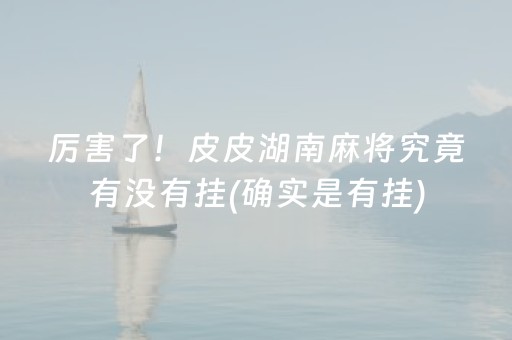 厉害了！皮皮湖南麻将究竟有没有挂(确实是有挂)