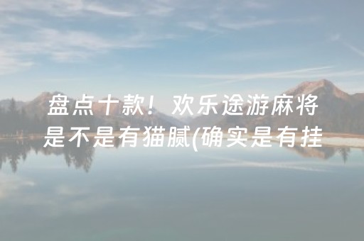 盘点十款！欢乐途游麻将是不是有猫腻(确实是有挂)