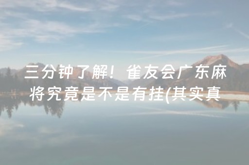 三分钟了解！雀友会广东麻将究竟是不是有挂(其实真的有挂)