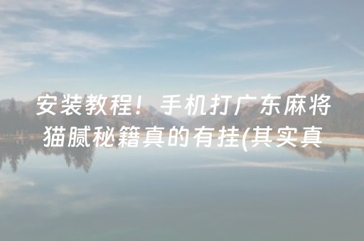 安装教程！手机打广东麻将猫腻秘籍真的有挂(其实真的有挂)
