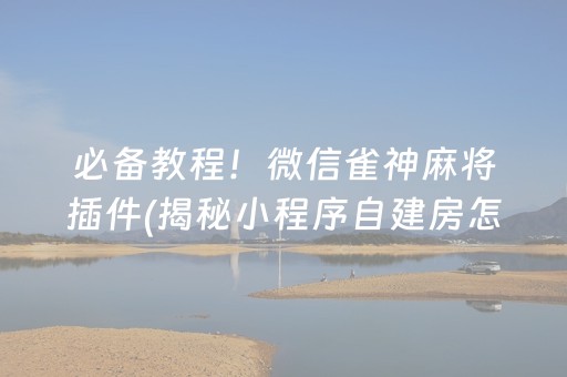 必备教程！微信雀神麻将插件(揭秘小程序自建房怎么赢)
