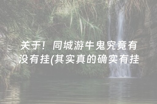 关于！同城游牛鬼究竟有没有挂(其实真的确实有挂)