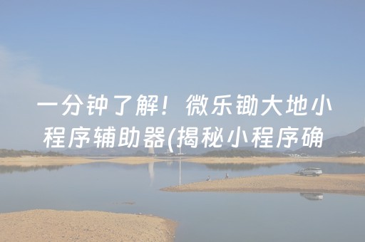一分钟了解！微乐锄大地小程序辅助器(揭秘小程序确实有猫腻)
