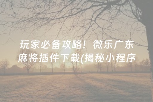 玩家必备攻略！微乐广东麻将插件下载(揭秘小程序专用神器)