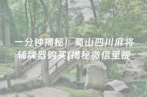 一分钟揭秘！蜀山四川麻将辅牌器购买(揭秘微信里提高赢的概率)