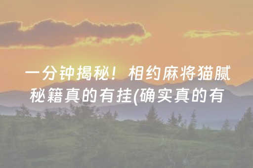 一分钟揭秘！相约麻将猫腻秘籍真的有挂(确实真的有挂)