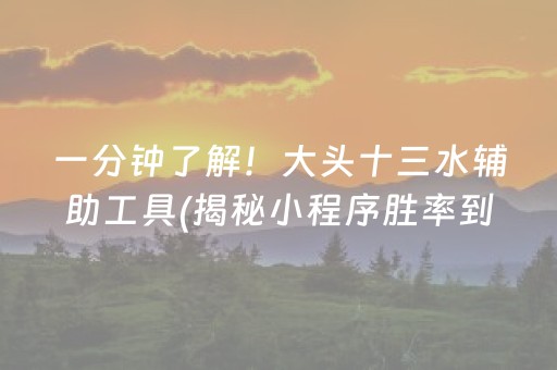 一分钟了解！大头十三水辅助工具(揭秘小程序胜率到哪调)