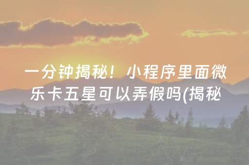 一分钟揭秘！小程序里面微乐卡五星可以弄假吗(揭秘手机上插件购买)