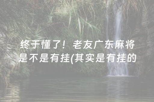 终于懂了！老友广东麻将是不是有挂(其实是有挂的)