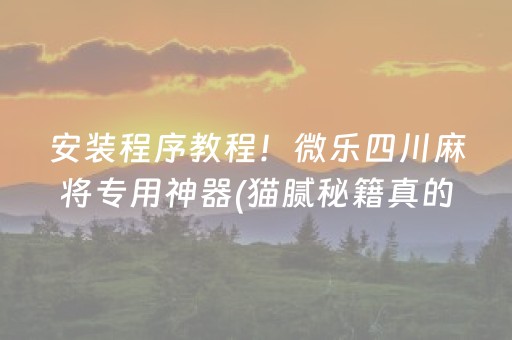 安装程序教程！微乐四川麻将专用神器(猫腻秘籍真的有挂)