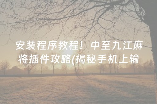 安装程序教程！中至九江麻将插件攻略(揭秘手机上输赢技巧)