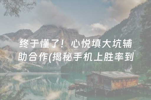 终于懂了！心悦填大坑辅助合作(揭秘手机上胜率到哪调)
