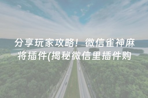 分享玩家攻略！微信雀神麻将插件(揭秘微信里插件购买)
