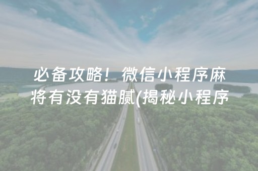 必备攻略！微信小程序麻将有没有猫腻(揭秘小程序助手软件)