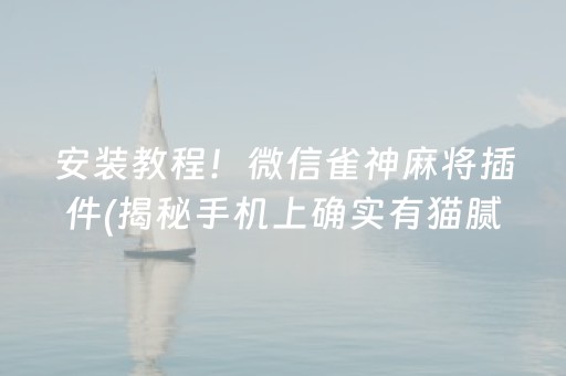 安装教程！微信雀神麻将插件(揭秘手机上确实有猫腻)