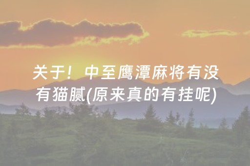 关于！中至鹰潭麻将有没有猫腻(原来真的有挂呢)