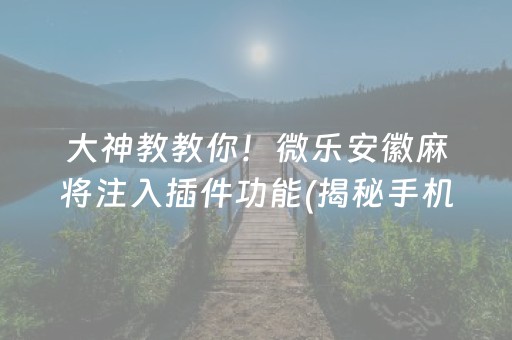 大神教教你！微乐安徽麻将注入插件功能(揭秘手机上插件购买)