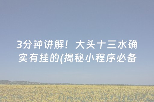 3分钟讲解！大头十三水确实有挂的(揭秘小程序必备神器)