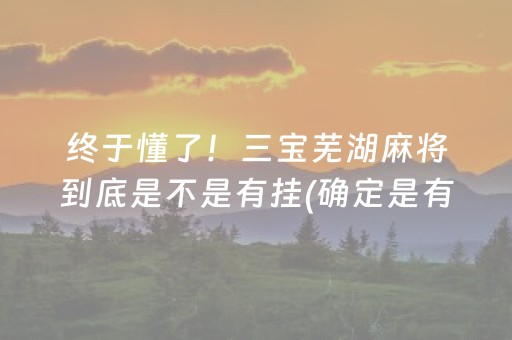 终于懂了！三宝芜湖麻将到底是不是有挂(确定是有挂)