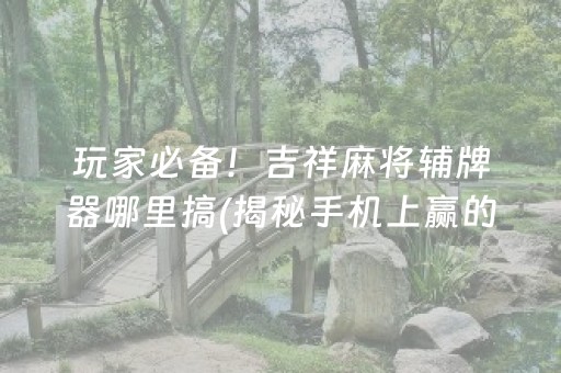 玩家必备！吉祥麻将辅牌器哪里搞(揭秘手机上赢的秘诀)