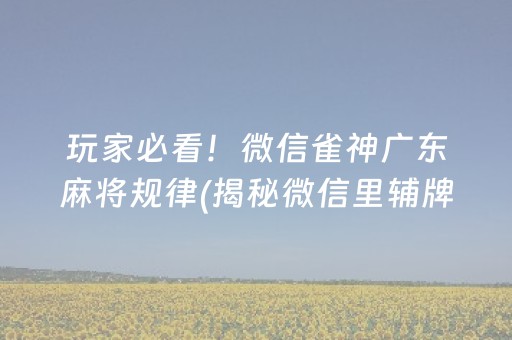 玩家必看！微信雀神广东麻将规律(揭秘微信里辅牌器)