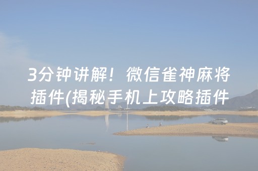 3分钟讲解！微信雀神麻将插件(揭秘手机上攻略插件)