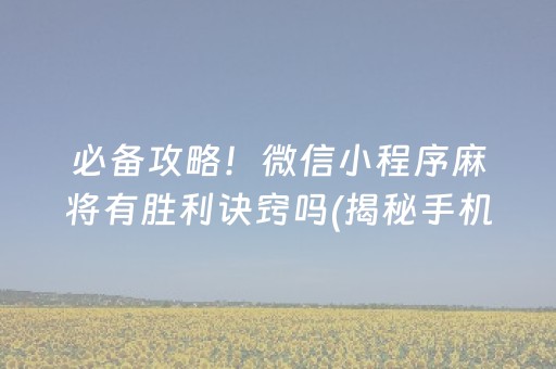 必备攻略！微信小程序麻将有胜利诀窍吗(揭秘手机上助手软件)