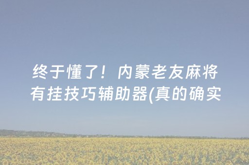 终于懂了！内蒙老友麻将有挂技巧辅助器(真的确实是有挂)