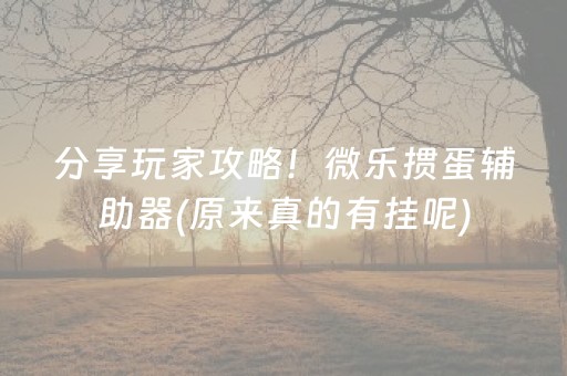 分享玩家攻略！微乐掼蛋辅助器(原来真的有挂呢)