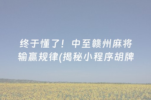 终于懂了！中至赣州麻将输赢规律(揭秘小程序胡牌神器)