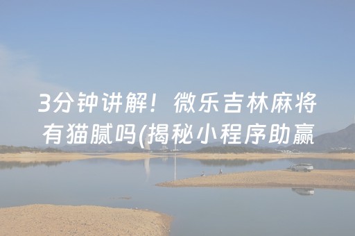 3分钟讲解！微乐吉林麻将有猫腻吗(揭秘小程序助赢软件)