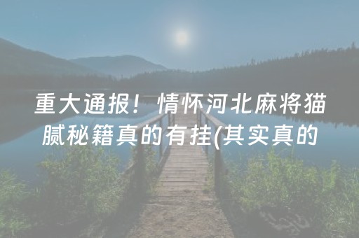 重大通报！情怀河北麻将猫腻秘籍真的有挂(其实真的确实有挂)