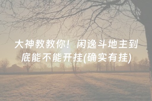 大神教教你！闲逸斗地主到底能不能开挂(确实有挂)