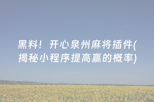 黑料！开心泉州麻将插件(揭秘小程序提高赢的概率)