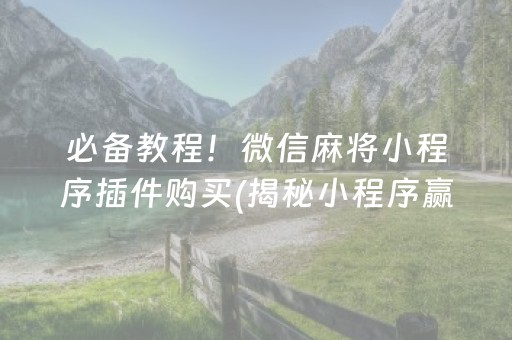 必备教程！微信麻将小程序插件购买(揭秘小程序赢牌的技巧)