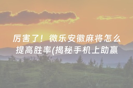厉害了！微乐安徽麻将怎么提高胜率(揭秘手机上助赢神器购买)