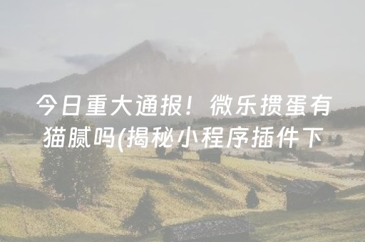 今日重大通报！微乐掼蛋有猫腻吗(揭秘小程序插件下载)